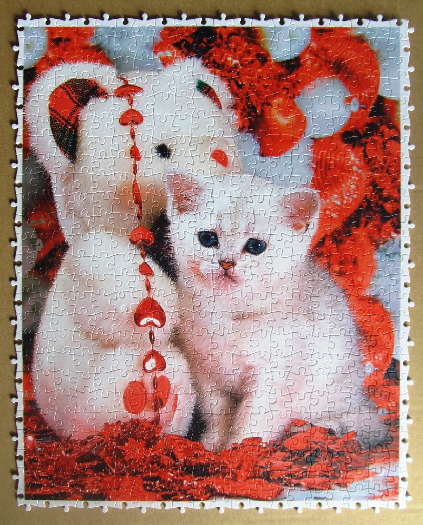 A white teddy bear and a fluffy white kitten posed together against a backdrop of festive red decorations.