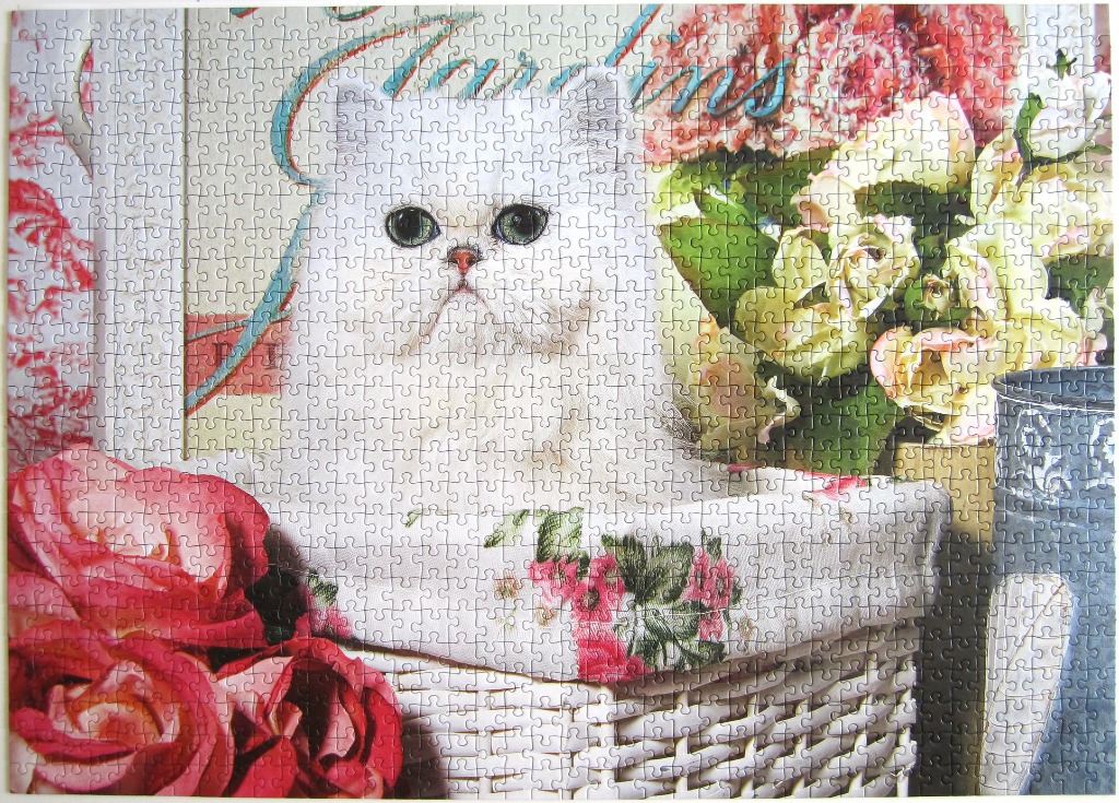 A white Persian cat sitting in a white woven basket surrounded by pink roses.