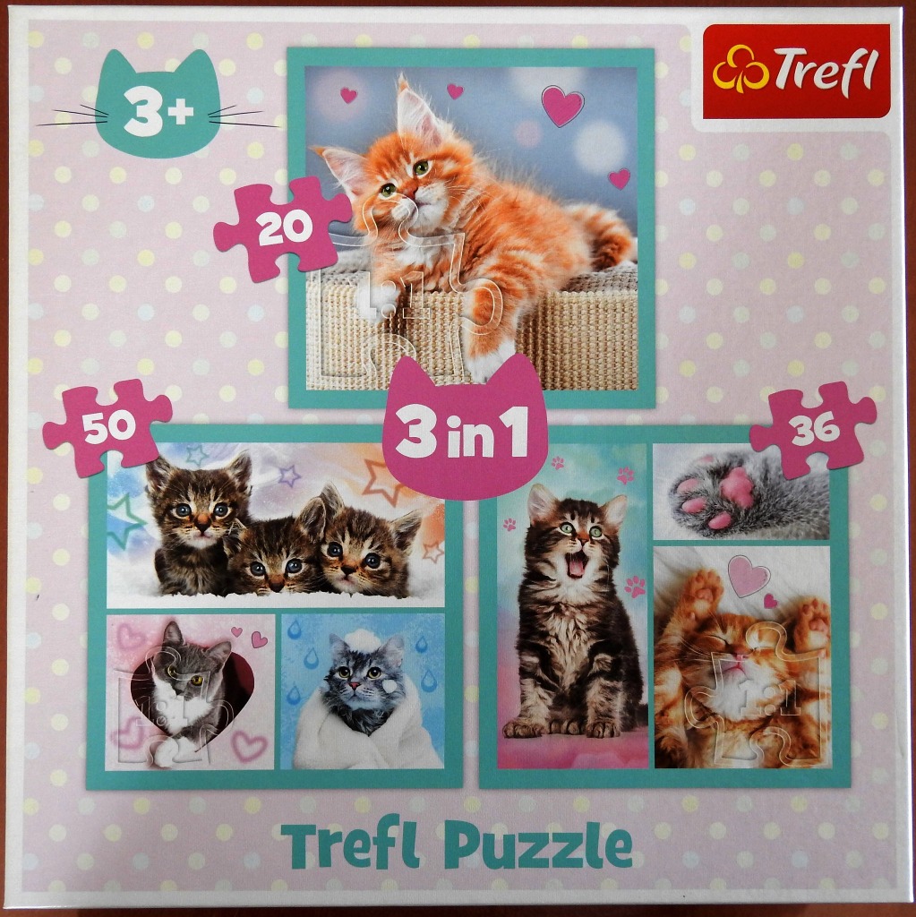 A collection of six high-quality photographs of kittens arranged in frames on a light pink polka-dot background.