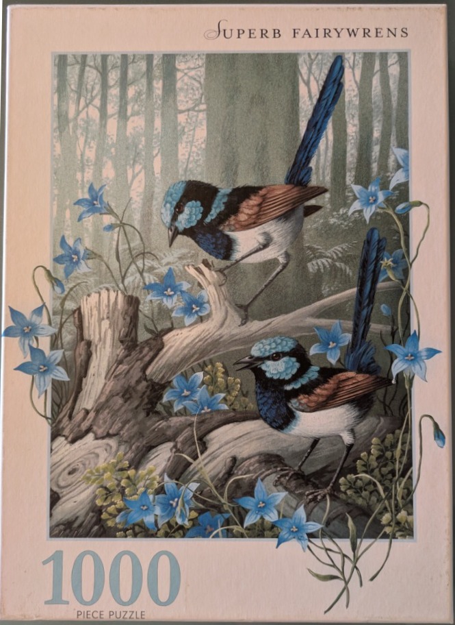 Two Superb Fairywrens perched on a fallen log surrounded by blue wildflowers in a misty forest.
