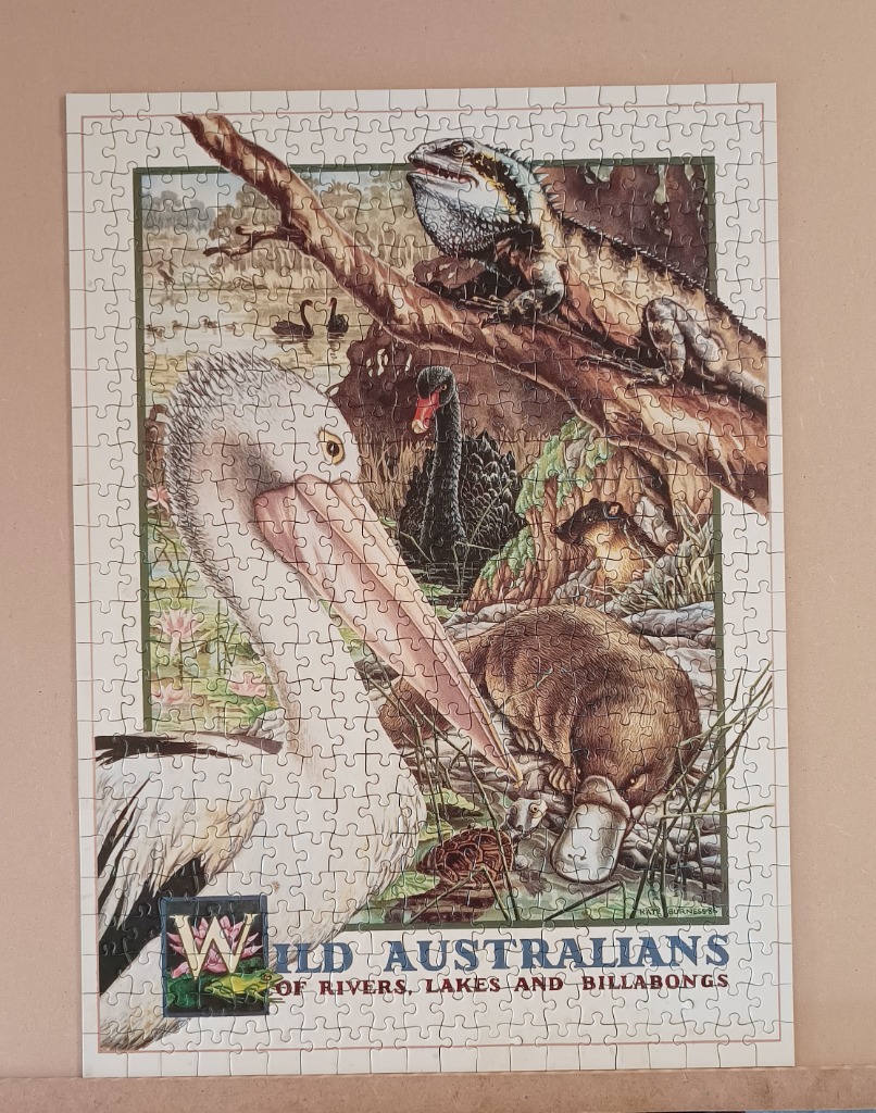 An illustration featuring a collection of Australian wildlife, including a pelican, a platypus, and a water dragon.
