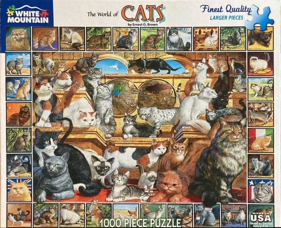 A collage of many different cats, including a large central collection and a border of individual feline portraits.