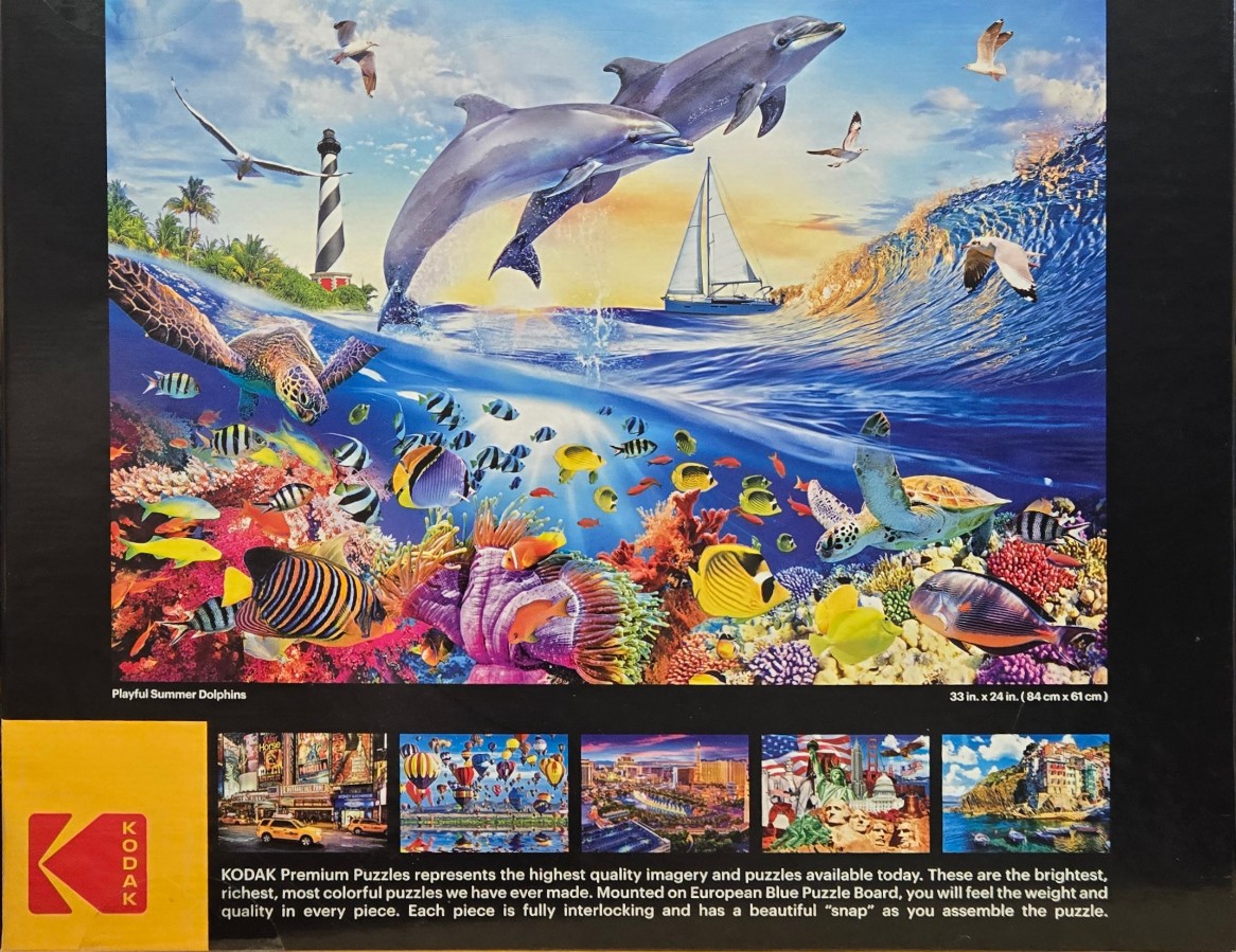 Playful Summer Dolphins