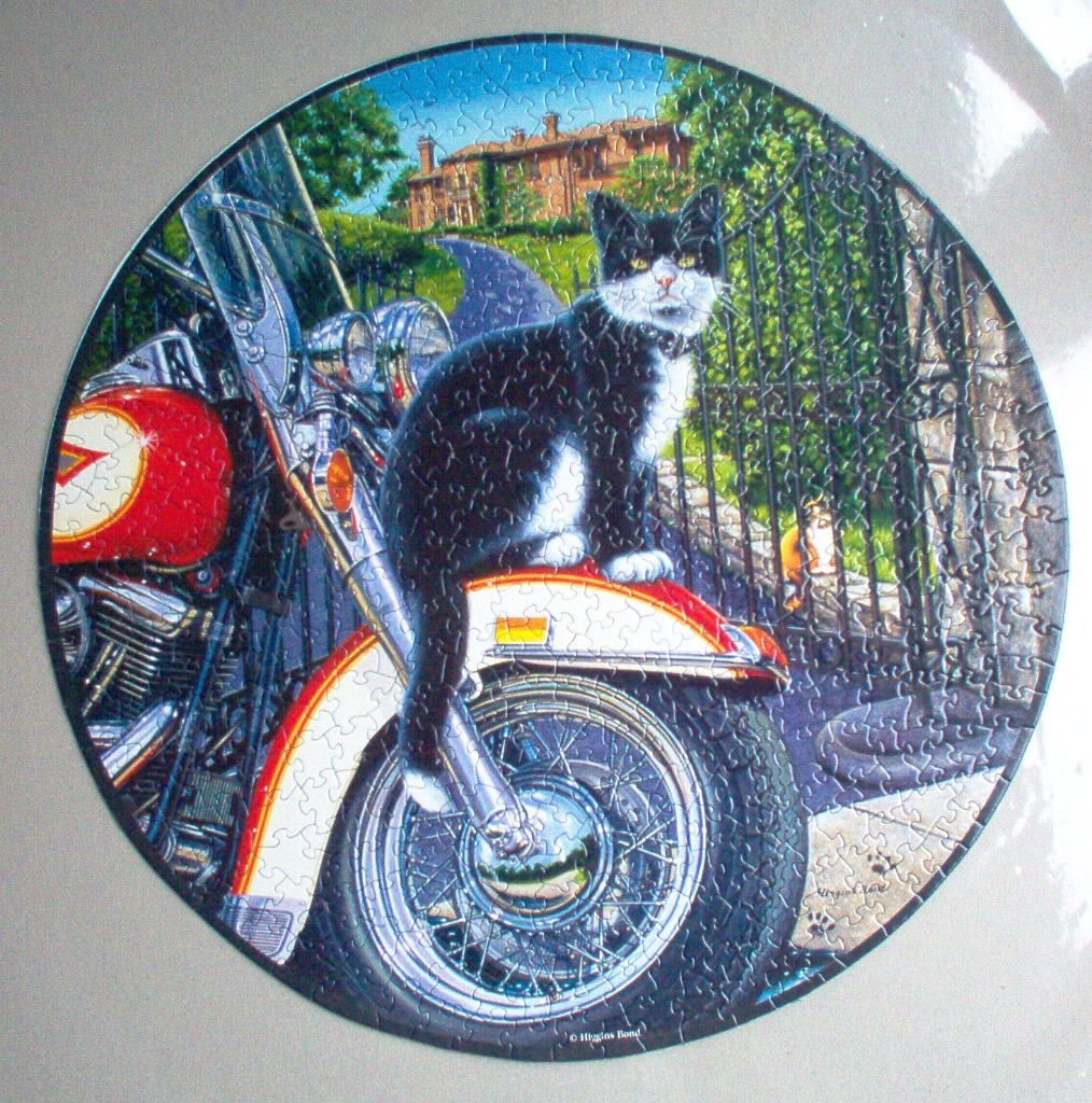 A black and white cat sits on a red motorcycle parked in front of a manor house.