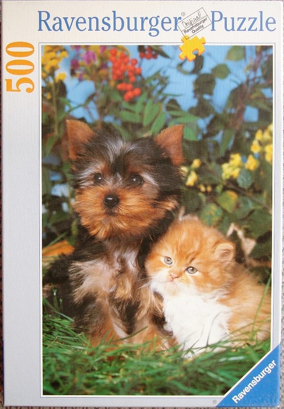 A small Yorkshire Terrier puppy sitting next to a fluffy orange kitten in a garden.