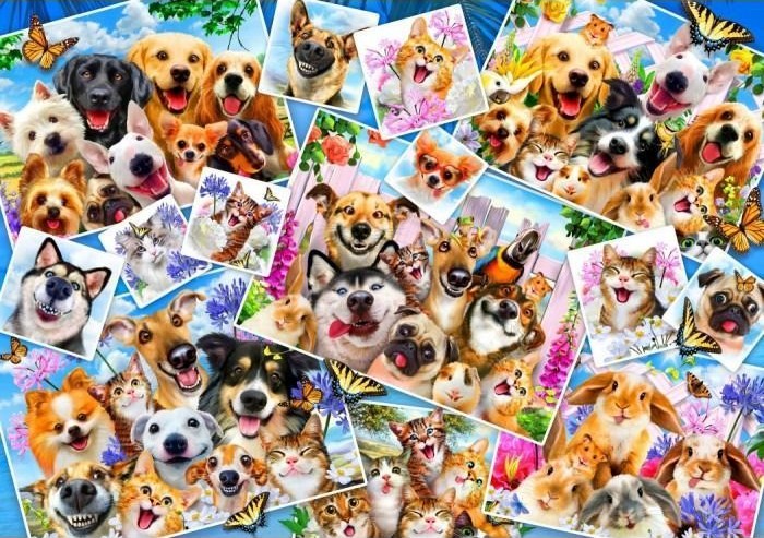 A collage of various close-up photos of happy dogs, cats, rabbits, and other small animals.