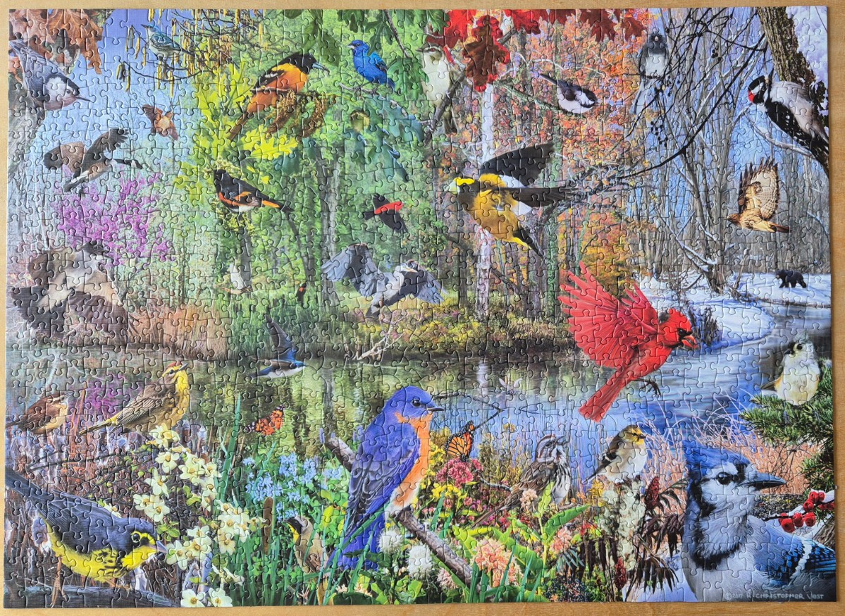 A collage of various North American birds in a vibrant woodland forest scene across four seasons.