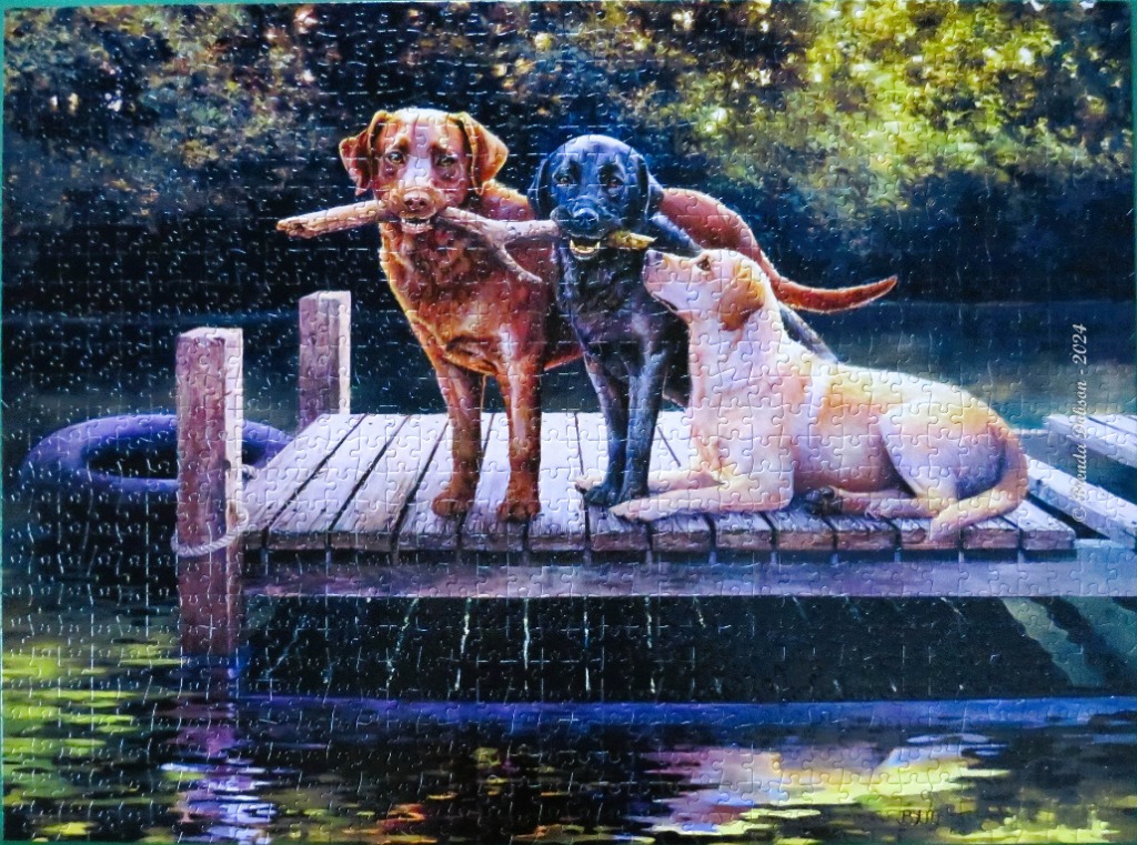 Three Labrador Retrievers of different colors sit on a wooden dock by a pond, holding a large stick together.