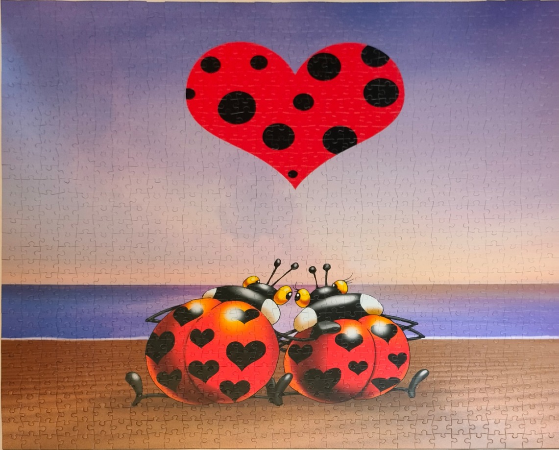 Two ladybugs with heart-shaped spots sitting on a beach beneath a large ladybug-patterned heart in the sky.