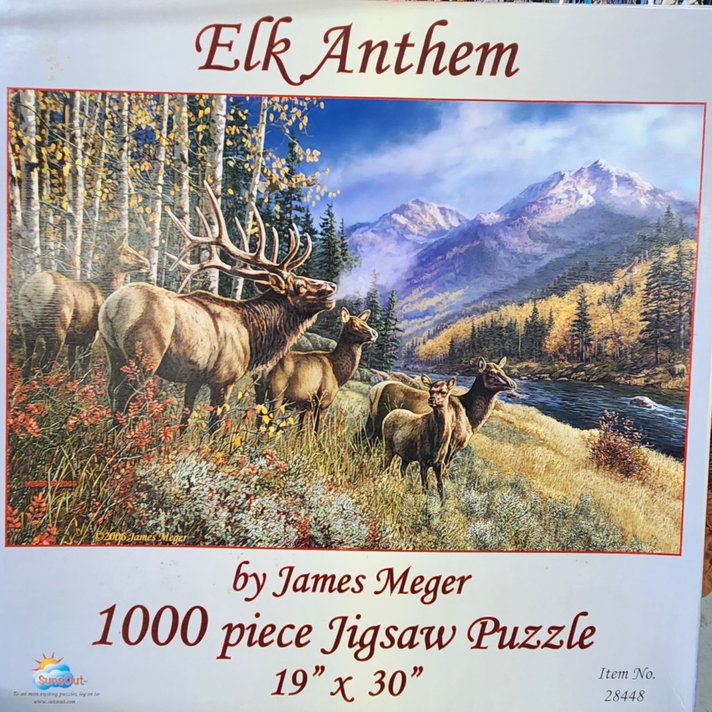 A herd of elk standing near a stream in a mountain forest during autumn.