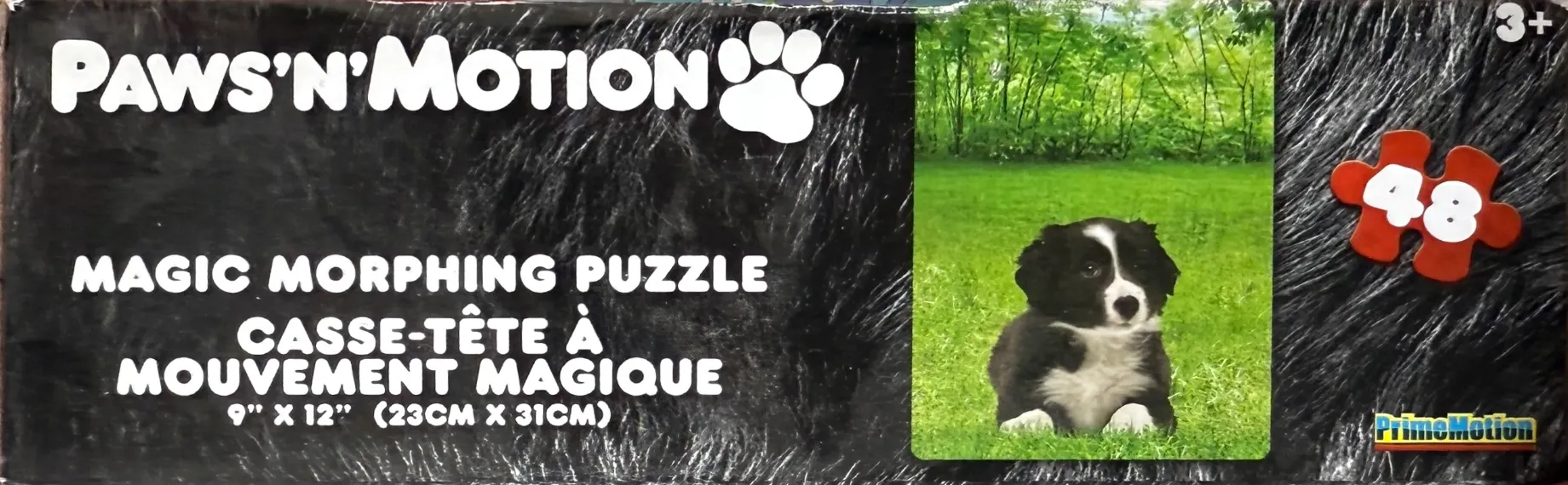 Paws'n'Motion