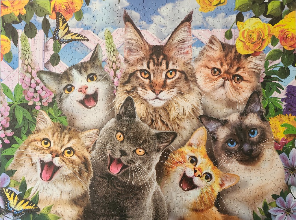 Six colorful cats posing in a lush garden with yellow roses and butterflies