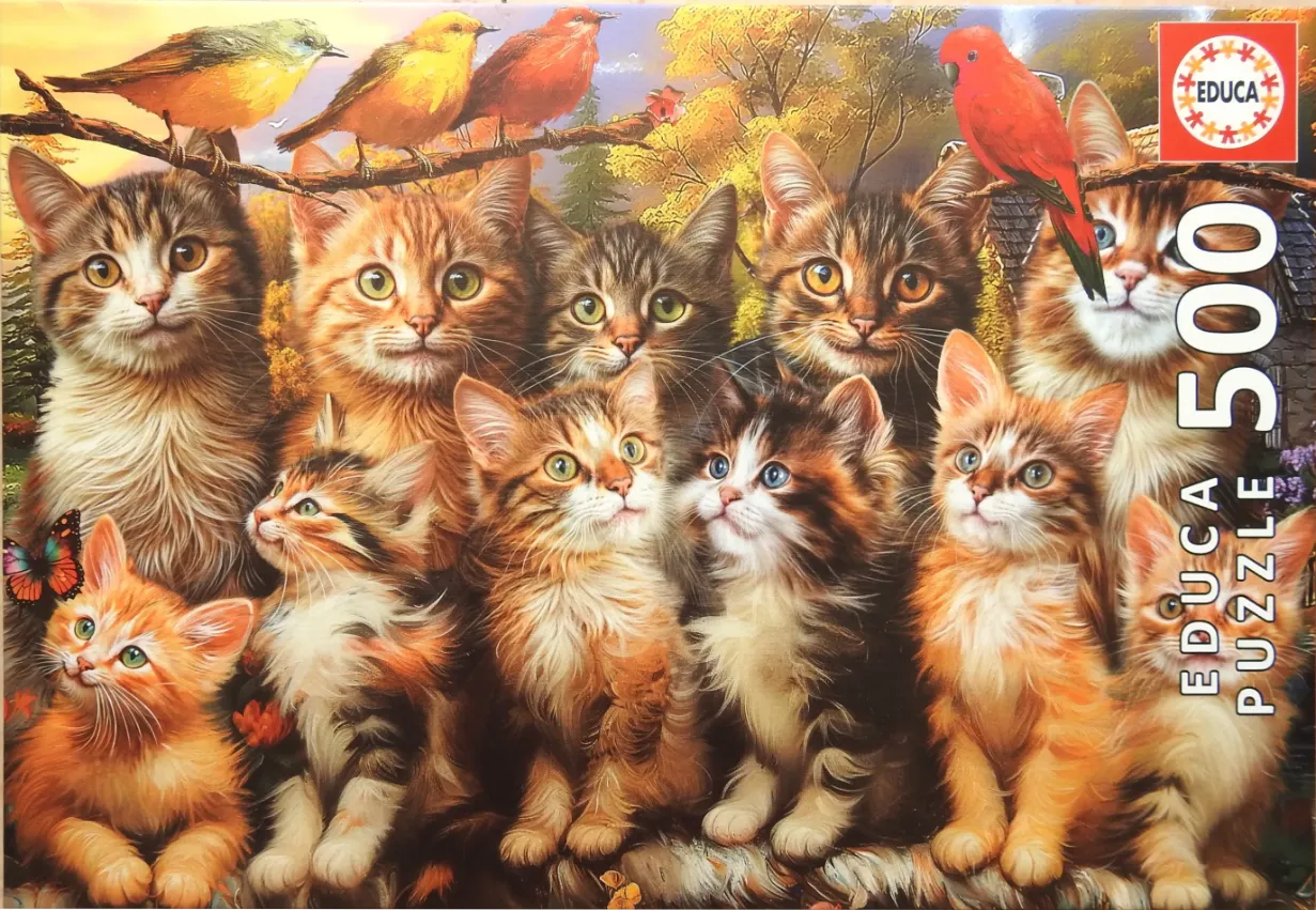 A whimsical illustration of ten diverse kittens posed together in a garden with several colorful birds.
