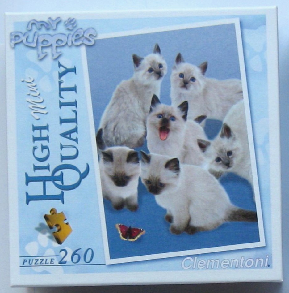 A group of six fluffy Siamese-style kittens posing together with a butterfly on a blue background.