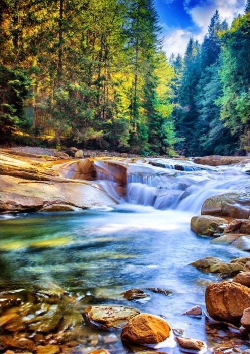 A cascading mountain stream flows over smooth, amber-colored rocks surrounded by a dense, sunlit forest.