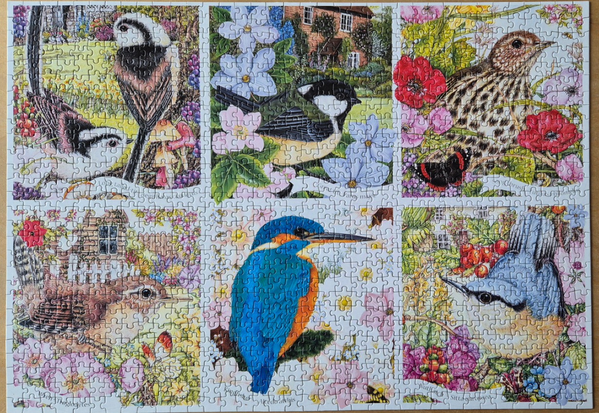 A grid illustration of six different birds in floral, natural, and garden settings.