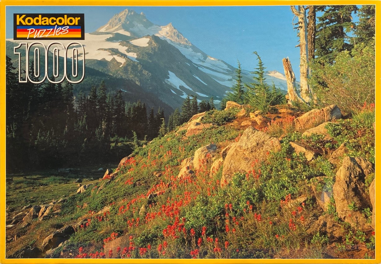A photograph of a snow-capped mountain overlooking a meadow filled with red wildflowers in the foreground.