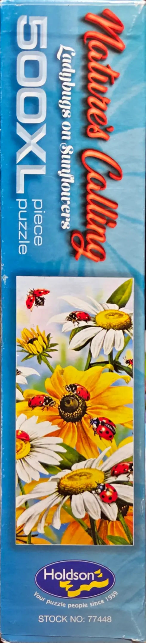 Ladybugs on Sunflowers