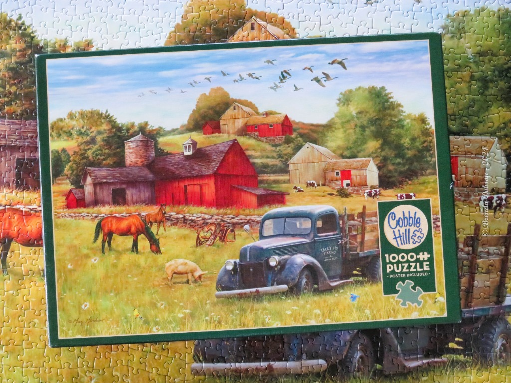 Saturday Afternoon on the Farm
