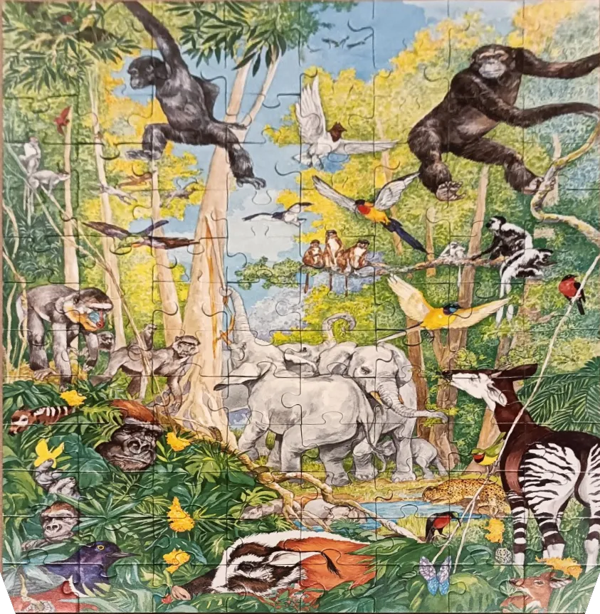 A lush jungle scene filled with diverse animals including chimpanzees, elephants, and an okapi.