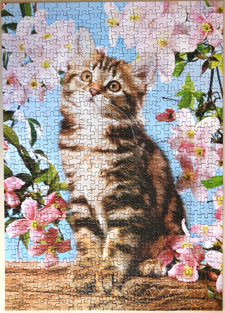 A tabby kitten sitting surrounded by pink blossoms against a blue sky