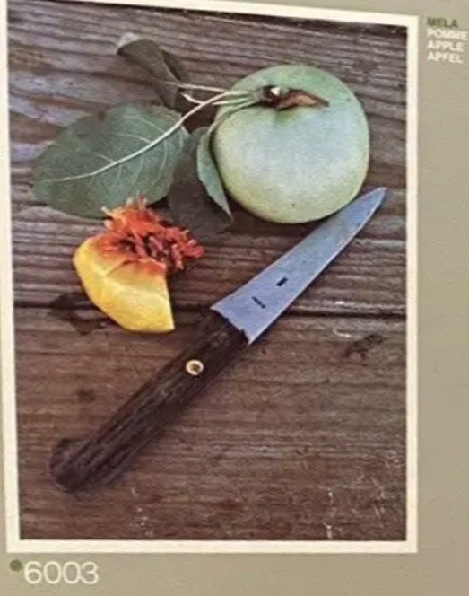 A pale green apple, a slice of peach, and a wooden-handled knife on a rustic wood surface.