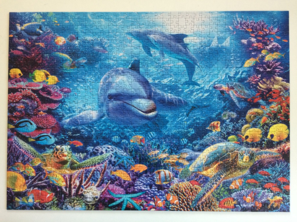 Vibrant underwater scene featuring dolphins, sea turtles, and coral reefs
