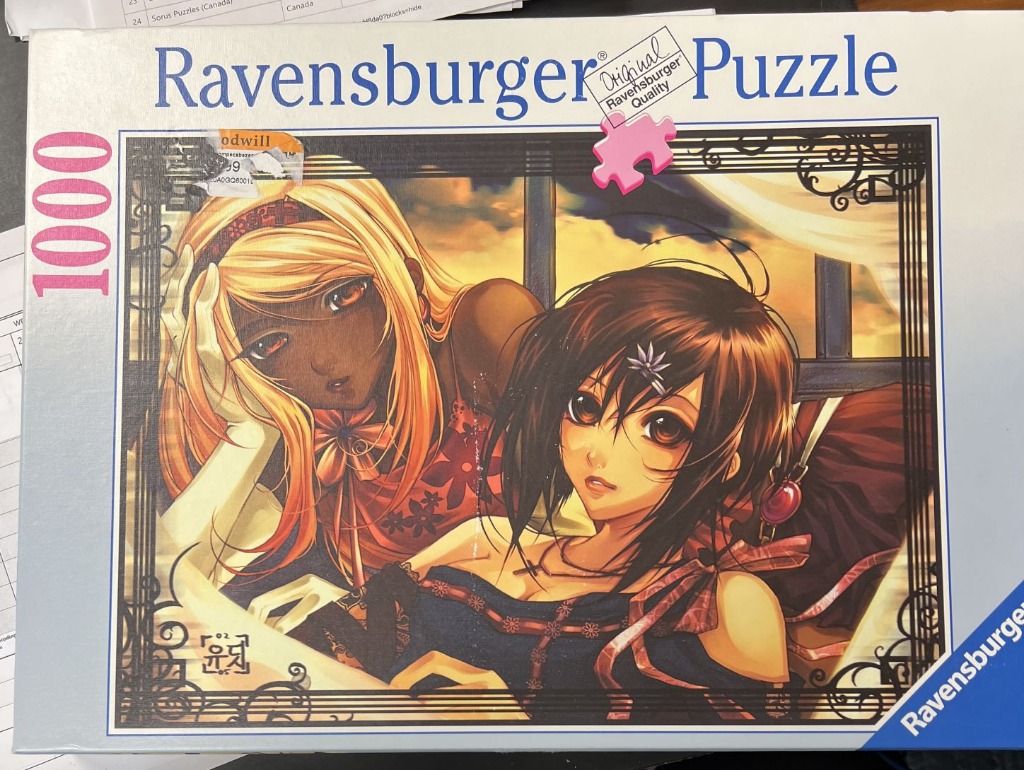 Two young women in anime style posed together against a sunset window background