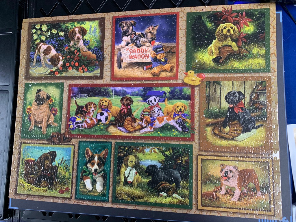 Collage of various puppy breeds in framed portraits and a central playing scene.