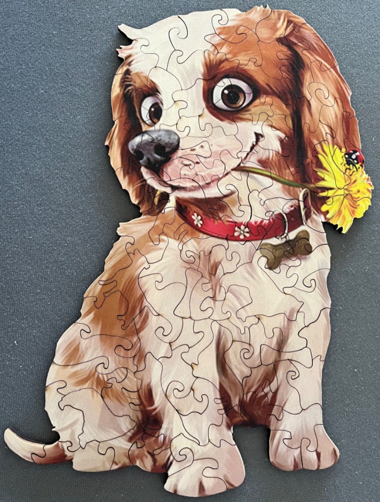 A whimsical illustration of a Cavalier King Charles Spaniel puppy with a dandelion in its mouth.
