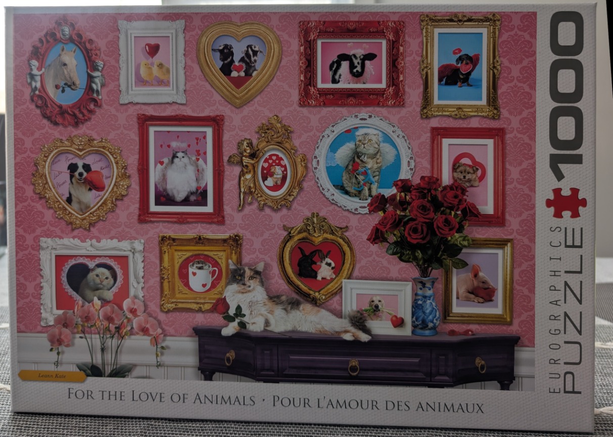 Collage of animal portraits in ornate frames against a pink damask wallpaper background