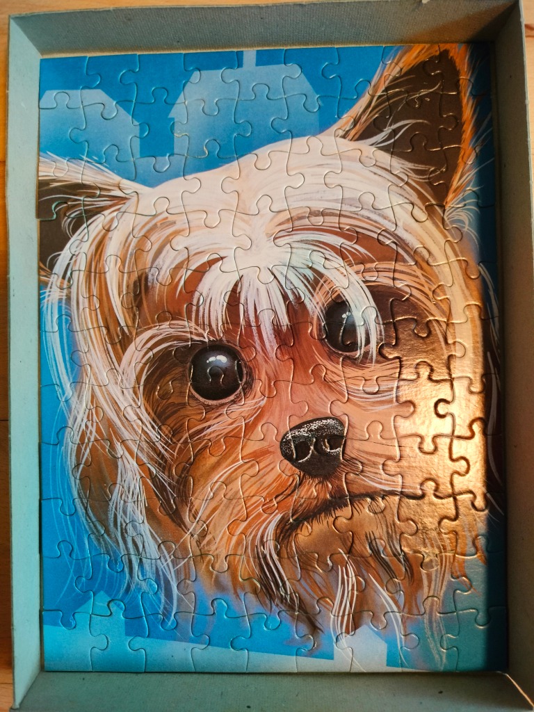 A digital illustration of a Yorkshire Terrier's face against a blue background.
