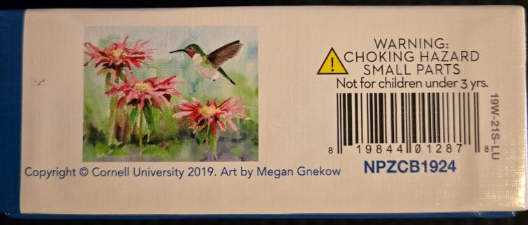 Ruby-throated Hummingbird
