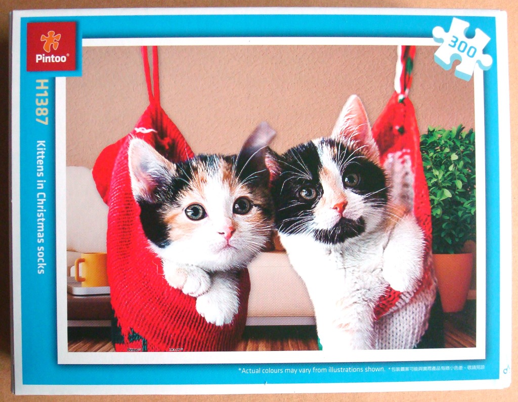 Two calico kittens peeking out of red Christmas stockings