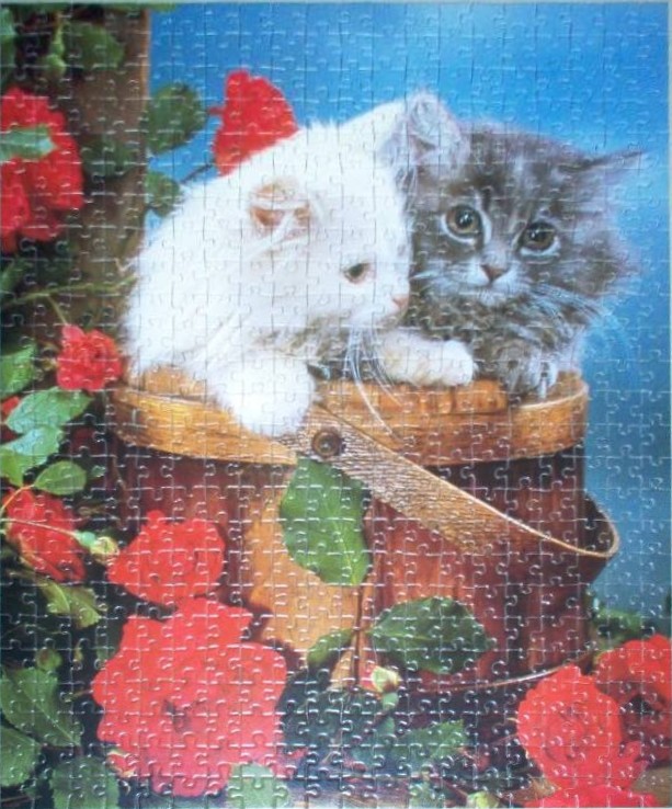 A white fluffy kitten and a grey tabby kitten sit together in a wooden bucket surrounded by red roses against a blue sky.