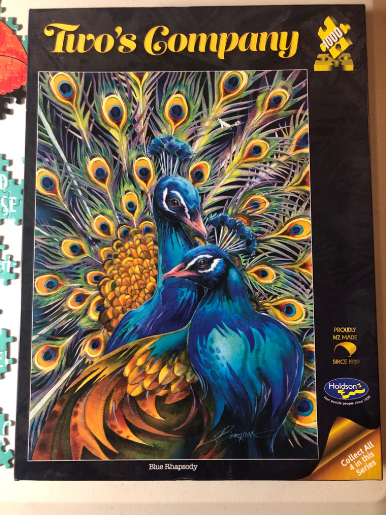 Two vibrant blue peacocks displaying their plumage with intricate eyespots against a dark background.