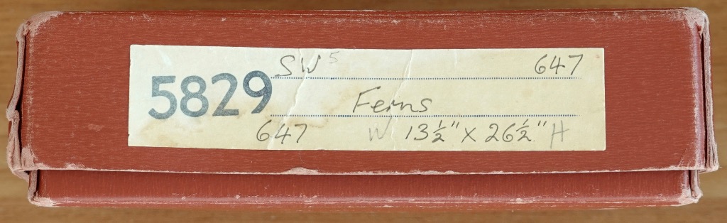 A red label with handwritten text indicating the subject is Ferns with dimensions 13 1/2 by 26 1/2 inches.