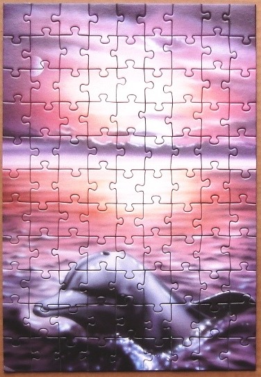 A dolphin swimming in the ocean against a vibrant sunset sky.