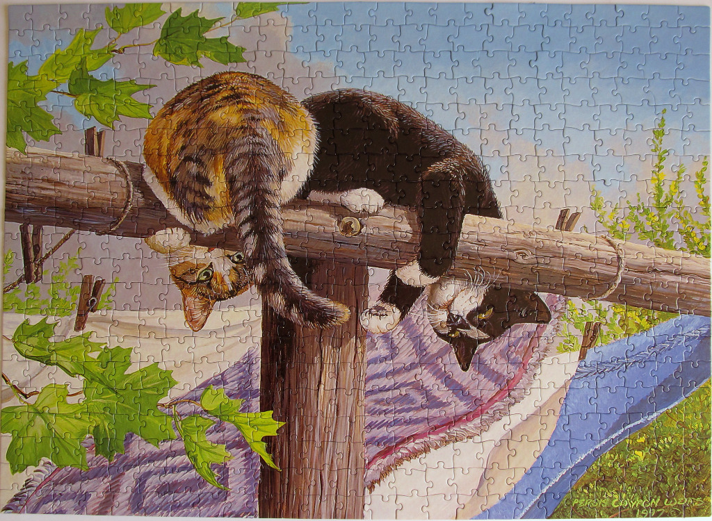 Two kittens resting on a wooden fence rail with a blue blanket and greenery in the background.