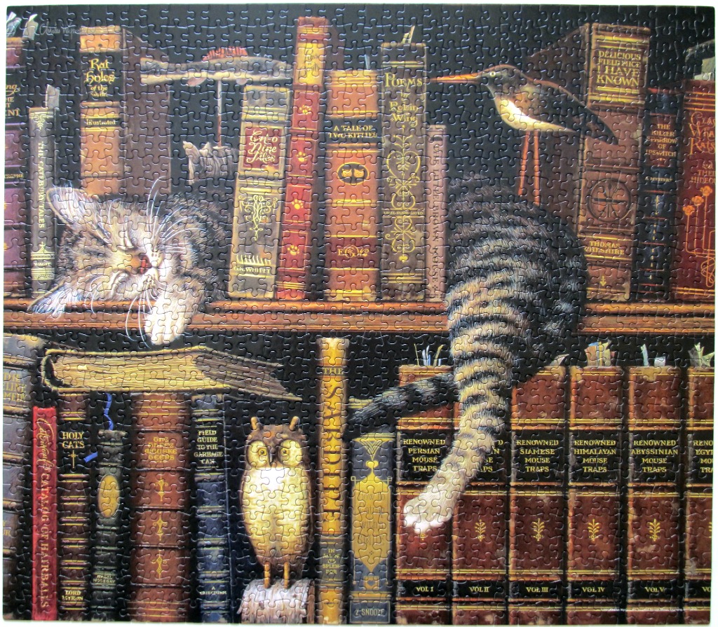 A whimsical illustration of tabby cats resting among shelves of books with clever pun titles.