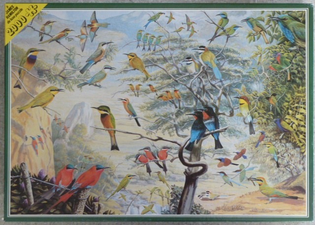 An illustration of many colorful bee-eater birds perched in trees and flying across a savanna landscape.