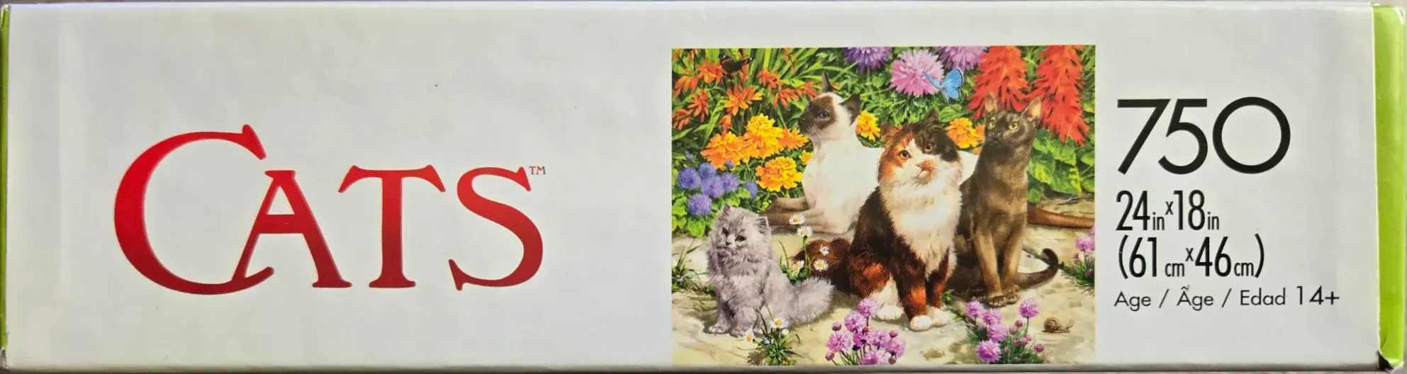 Cat Flora
