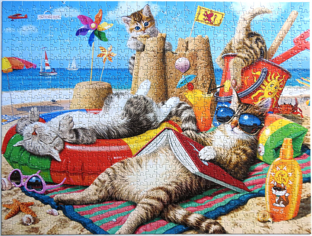 Three cats relaxing on a beach with a sandcastle and summer accessories