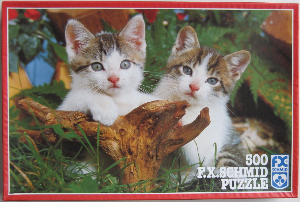 Two small tabby and white kittens sitting behind a piece of driftwood in a garden.