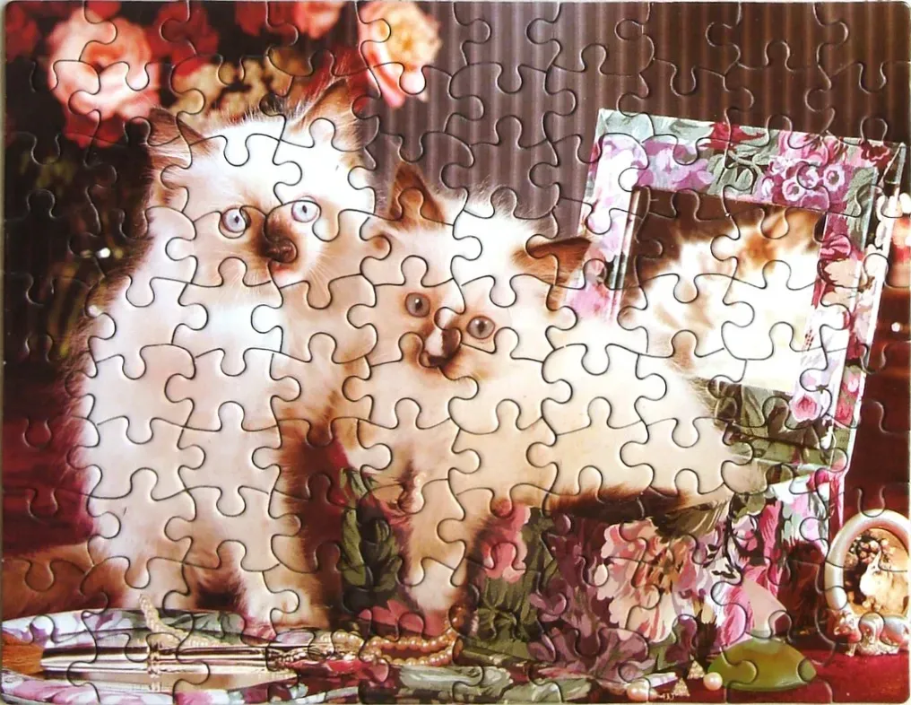 Two fluffy white kittens sitting behind a floral picture frame on a tabletop.