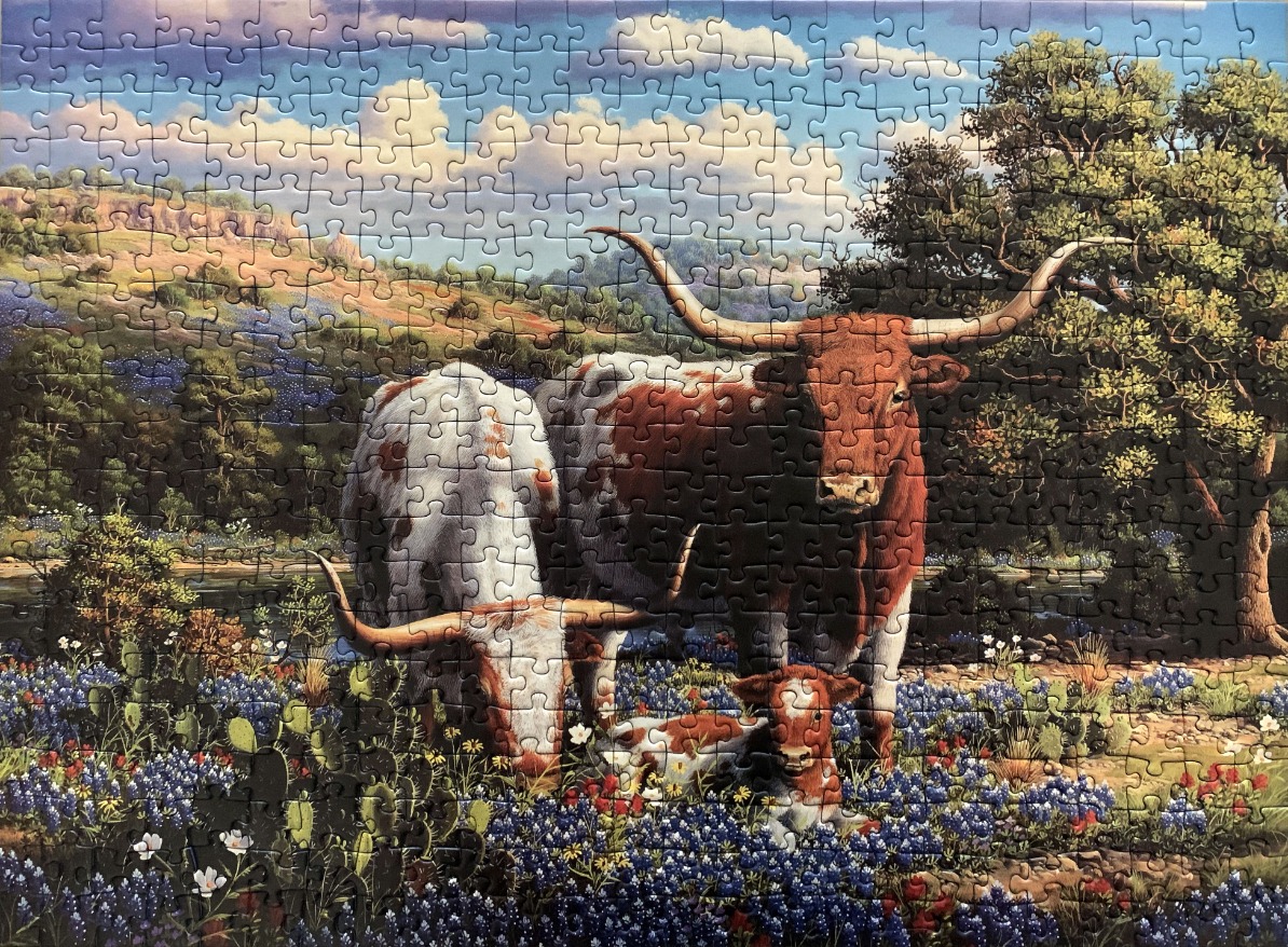 A Texas longhorn cow and calf in a field of bluebonnets beneath a cloudy sky.
