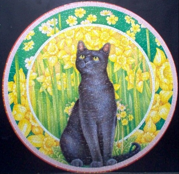A black cat sitting in a circular frame surrounded by bright yellow daffodils against a green background.
