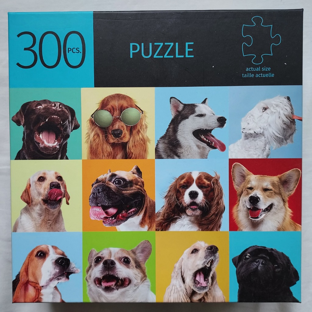 A grid of 12 close-up portraits of various dog breeds against vibrant, solid-colored backgrounds.