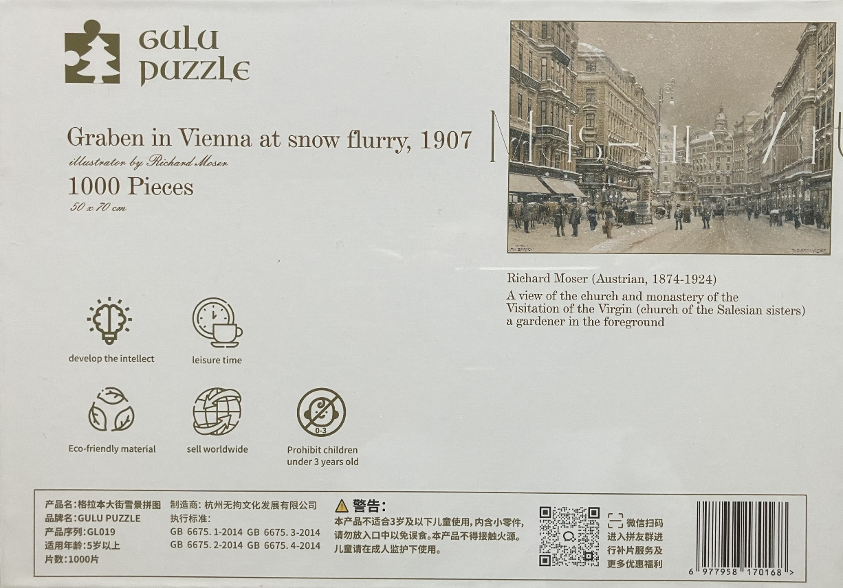 Graben in Vienna at Snow Flurry