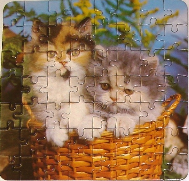 Katzen